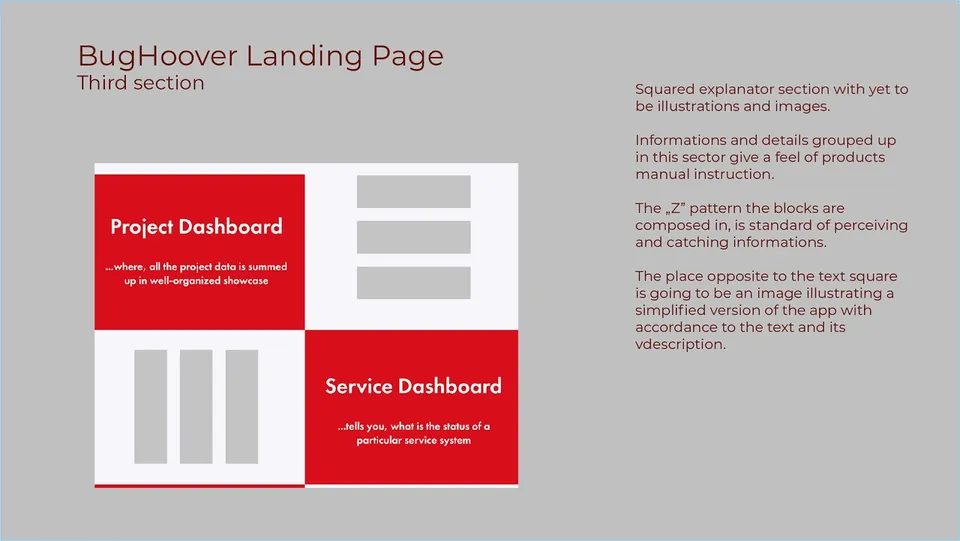BugHoover: Landing page: third section